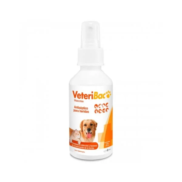 Veteribac