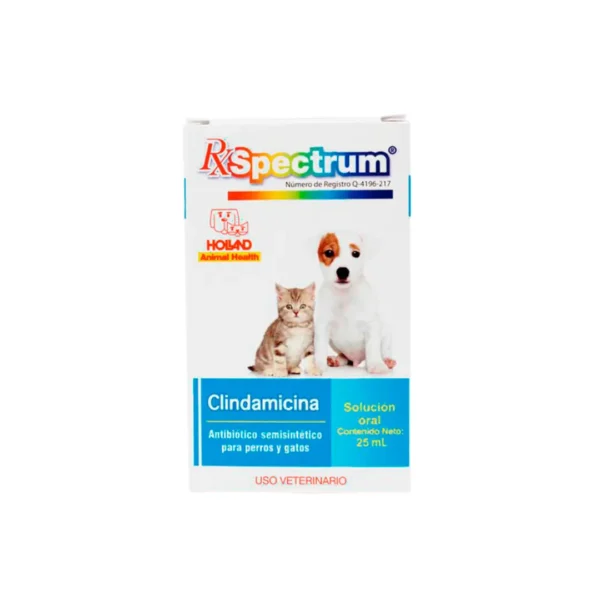Rx Spectrum Clindamicina Solución Oral