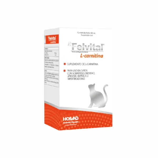 Rx Felvital L- carnitina