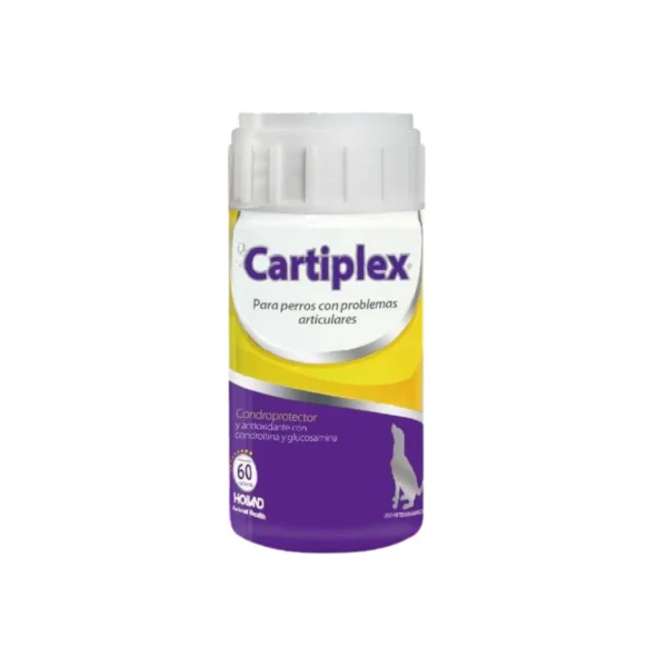 Rx Cartiplex 60 Tabs