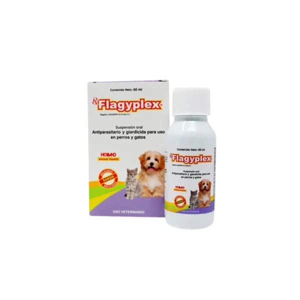 Flagyplex